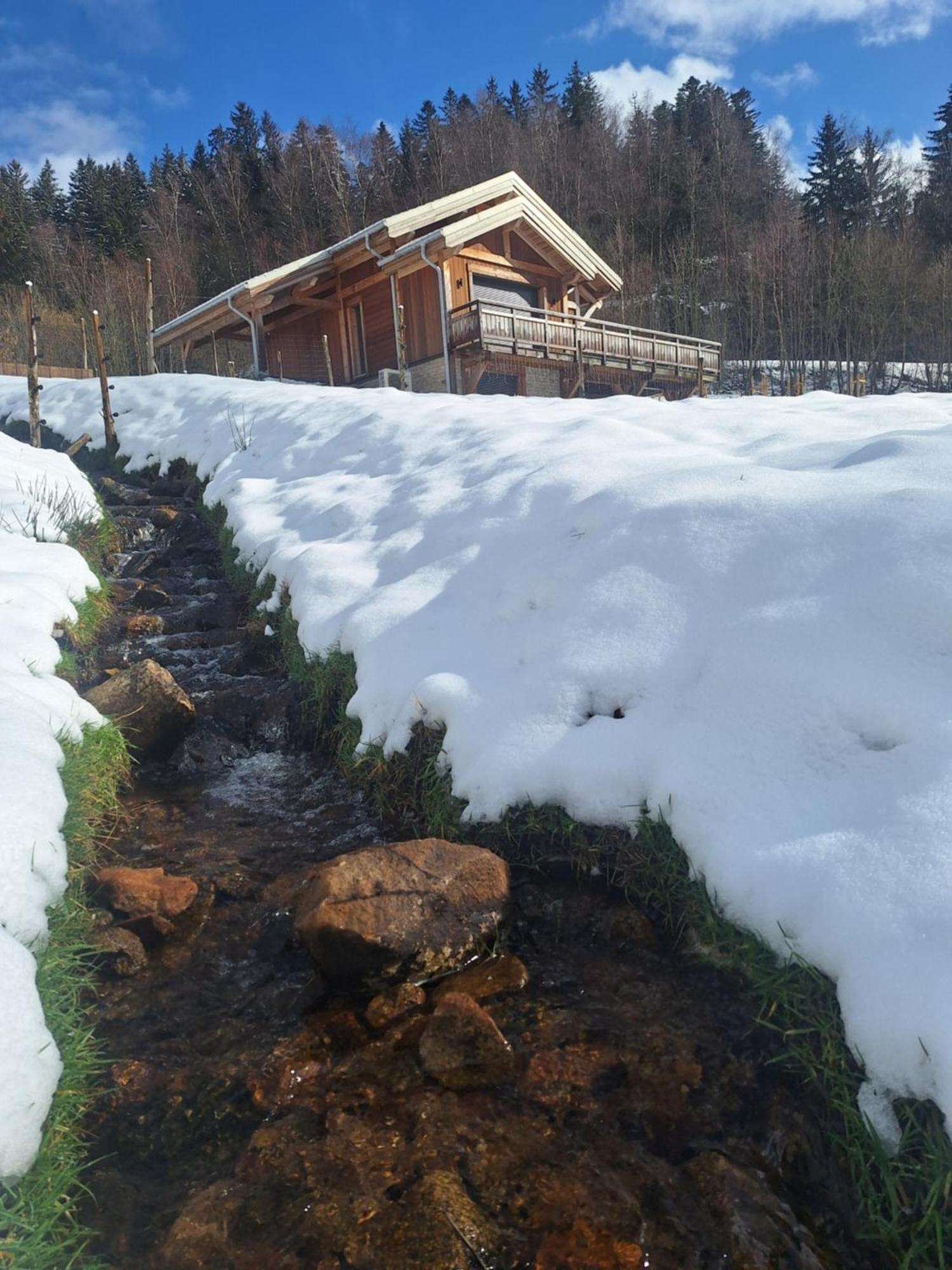 Chalet L'Appel De La Foret Gérardmer Exterior photo